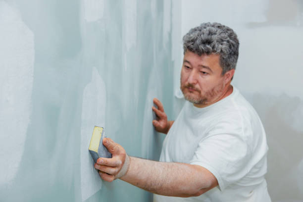 Best Mold Damage Restoration  in Shelton, CT