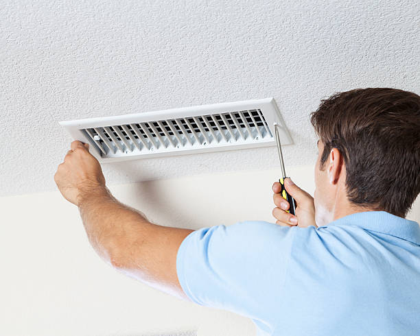 Best Attic Mold Removal  in Shelton, CT