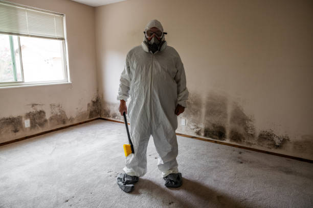 Best Industrial Mold Remediation  in Shelton, CT