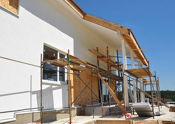 Best Industrial Mold Remediation  in Shelton, CT