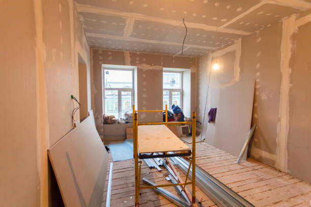 Best Black Mold Removal  in Shelton, CT