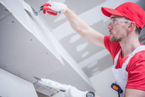 Best Dehumidification Services  in Shelton, CT